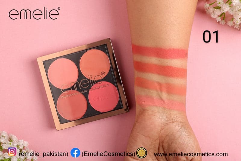 Professional Emelie Makeup 4pcs blush on  Color Palette