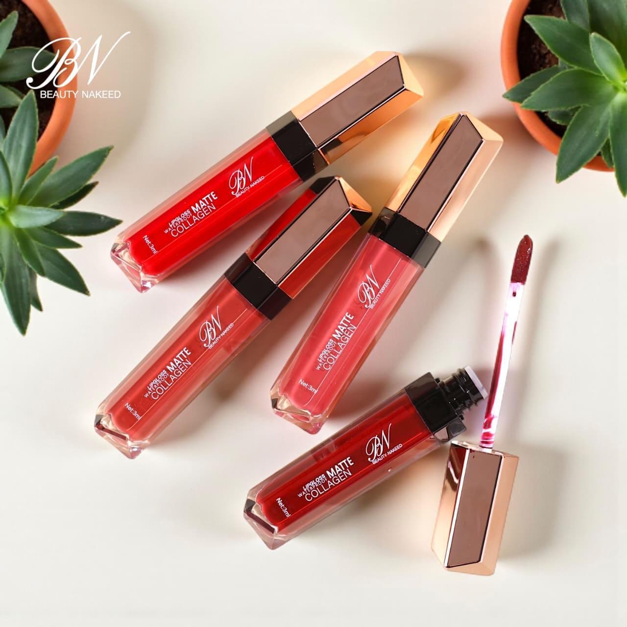 BN Matte Lipgloss Waterproof